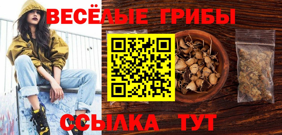 Псилоцибиновые грибы Magic Shrooms Элиста